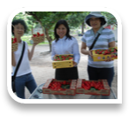 collage image title